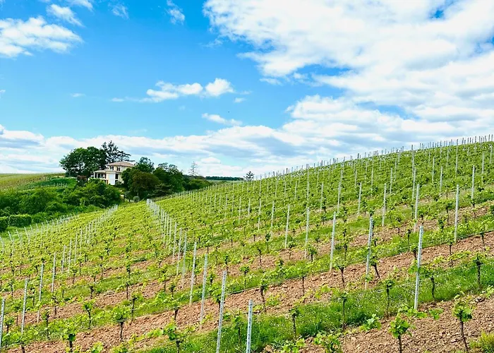 Highlife One Appartement